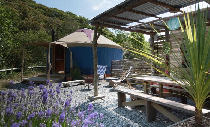 Bert the Yurt